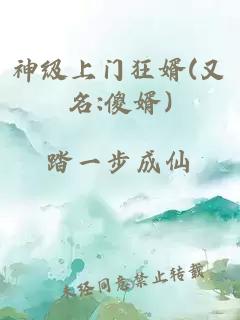 神級上門狂婿(又名:傻婿)