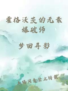 霍格沃茨的元素爆破師