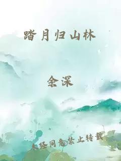 踏月歸山林