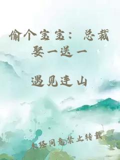 偷個(gè)寶寶：總裁娶一送一