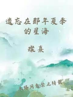 遺忘在那年夏季的星海
