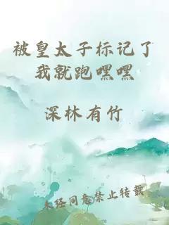 被皇太子標(biāo)記了我就跑嘿嘿