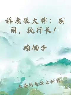 嬌妻狠大牌：別鬧，執行長(cháng)！