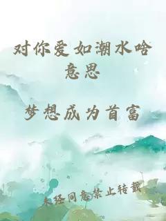 對你愛如潮水啥意思