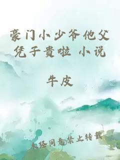 豪門小少爺他父憑子貴啦 小說