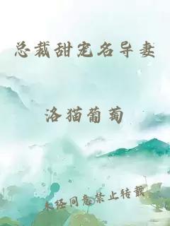 總裁甜寵名導(dǎo)妻