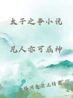 太子之爭小說