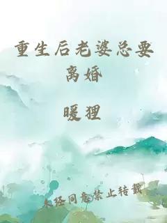 重生后老婆總要離婚