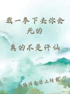 我一拳下去你會死的