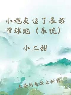小炮灰渣了暴君帶球跑（系統(tǒng)）