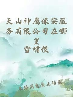 天山神鷹保安服務(wù)有限公司在哪里