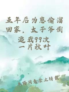 五年后為崽偷溜回家，太子爺倒追我99次