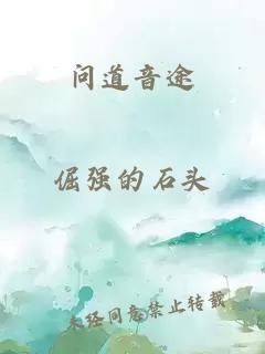 問(wèn)道音途