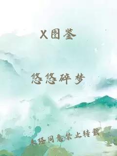 X圖鑒