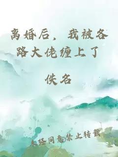 離婚后，我被各路大佬纏上了