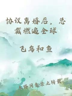 協(xié)議離婚后，總裁燃遍全球