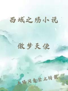 西域之殤小說