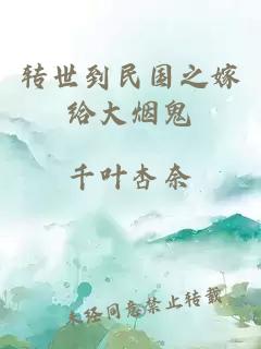 轉(zhuǎn)世到民國(guó)之嫁給大煙鬼