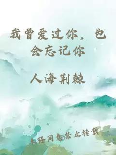 我曾愛過你，也會忘記你