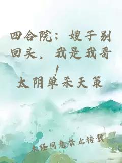 四合院：嫂子別回頭，我是我哥！