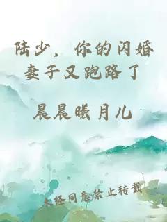 陸少，你的閃婚妻子又跑路了