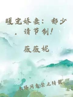 暖寵嬌妻：郁少，請節(jié)制！