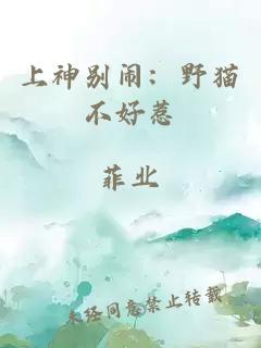 上神別鬧：野貓不好惹