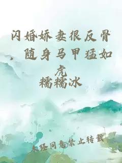 閃婚嬌妻很反骨，隨身馬甲猛如虎