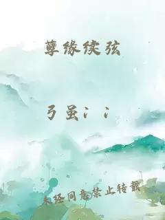 孽緣續弦