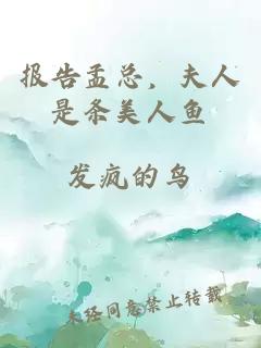 報告孟總，夫人是條美人魚(yú)