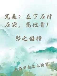 完美：在下石村石安，荒他哥！