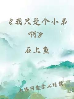 《我只是個(gè)小弟啊》