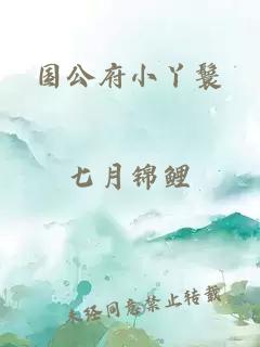 國公府小丫鬟