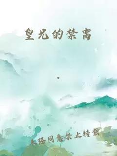 皇兄的禁臠