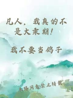 凡人，我真的不是大乘期！