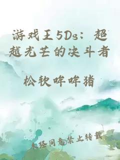 游戲王5Ds：超越光芒的決斗者