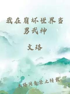 我在崩壞世界當(dāng)男武神