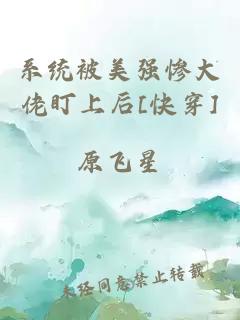 系統(tǒng)被美強(qiáng)慘大佬盯上后[快穿]
