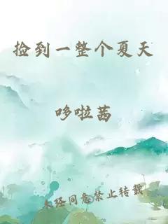 撿到一整個夏天