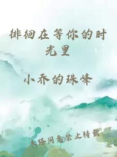 徘徊在等你的時光里