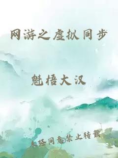網(wǎng)游之虛擬同步