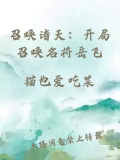 召喚諸天：開局召喚名將岳飛