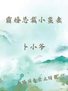 霸婚總裁小蠻妻