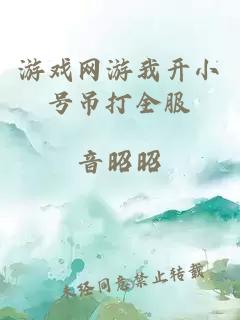 游戲網(wǎng)游我開小號吊打全服