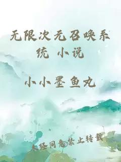 無限次元召喚系統(tǒng) 小說