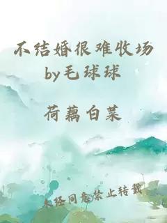 不結婚很難收場(chǎng)by毛球球