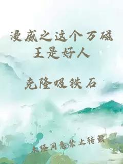漫威之這個(gè)萬磁王是好人