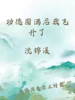 功德圓滿后我飛升了