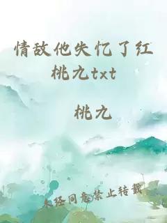 情敵他失憶了紅桃九txt