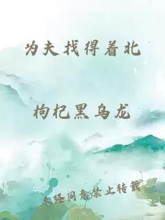 為夫找得著北